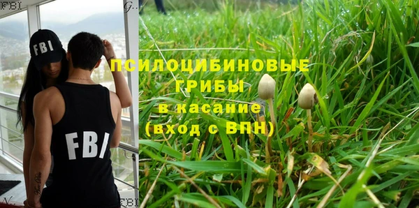 не бодяженный Семёнов